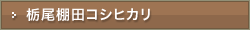 �Ȕ��I�c�R�V�q�J���̔�