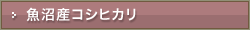 �����Y�R�V�q�J���̔�