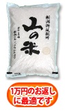 新潟栃尾棚田コシヒカリ