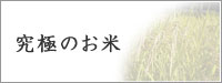 究極のお米