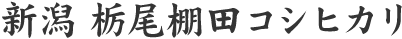新潟栃尾棚田コシヒカリ